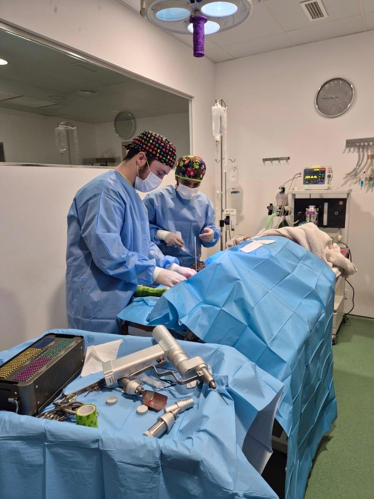 Traumatologia veterinaria